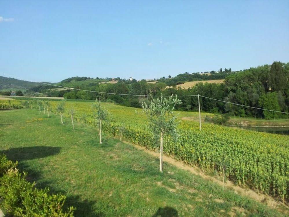 Agriturismo La Collina Del Sole Coltavolino Exterior foto